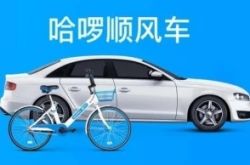 6分钟教程!丽江最大的公司_哔哩哔哩